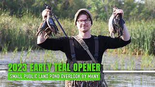 MINNESOTA EARLY TEAL OPENER 2023 - Success on public land pond just off the road!!!