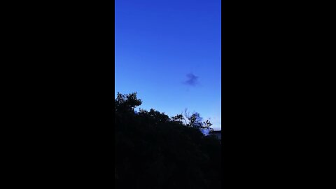 Birthday Sunset Livestream Clip 6