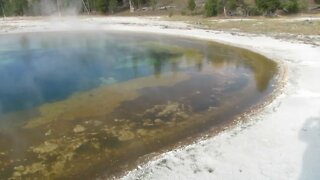 Yellowstone's Beauty Pool