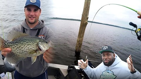 Vertically Jigging Flooded Trees for Big Crappie ft. HookCityTV (Lake of the Pines, Texas pt 4)