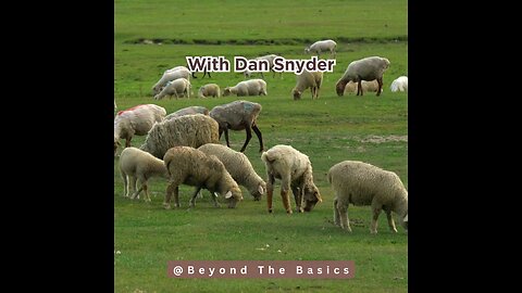 Jacob Foretells The Coming King - Beyond The Basics Bible Study Podcast