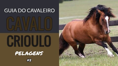 Cavalo Crioulo - Pelagens