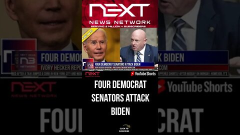 Four Democrat Senators Attack Biden #shorts