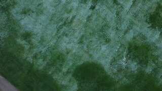 Canadian Wetlands after First Snow Fall || DRONE