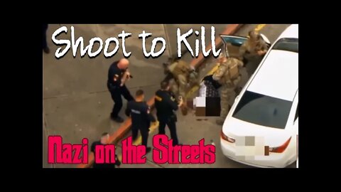 Shoot to Kill for Police Protection on Traffic Stops