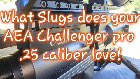 AEA Challenger Pro ( What slugs do you shoot in .25)