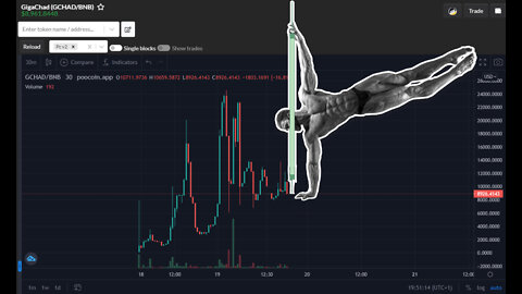 BITCOIN DECOUPLES FROM THE STOCK MARKET - r/cryptocurrency meme