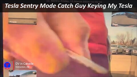 Tesla Sentry Mode Catch Guy Keying My Tesla | TeslaCam Live