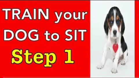 How to train your dog (step -1 )