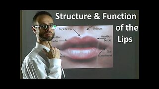 Role of the Structure & Shape of Upper & Lower Lips in Facial Attractiveness & Beauty by Dr Mike Mew