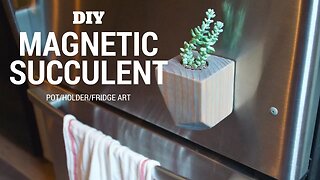 DIY Magnetic Succulent Pot