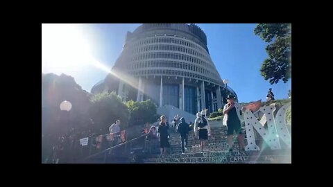 Wellington freedom protest live stream