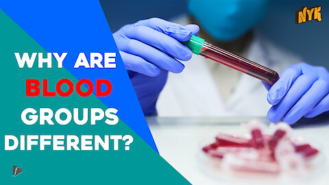 Why Are Blood Groups Different