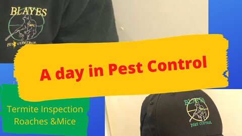 A Day in Pest Control - Termites Inspection, Roaches and Mice Jan 3rd