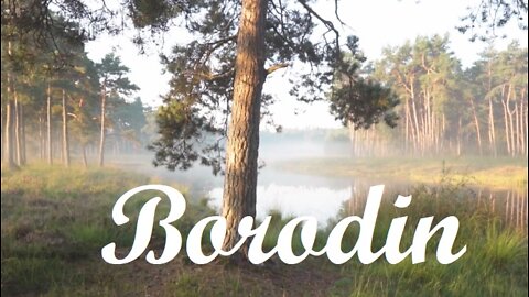 Classical Music by Borodin with Scenic Forest Nature Films for Relaxation