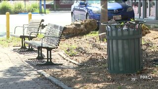 Cape Coral removing dozens of benches, refurbishing others