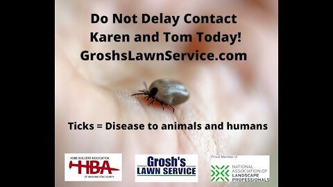 Ticks Boonsboro MD Lawn Care Service GroshsLawnService.com