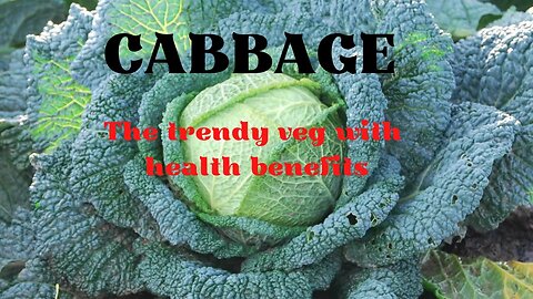 Cabbage - The Trendy Veg with Health Benefits