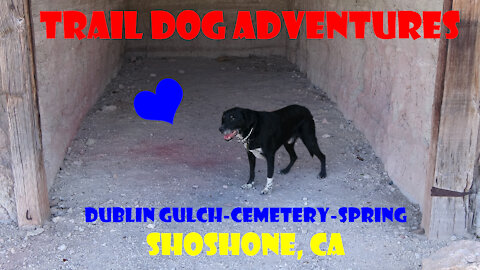 Moe (Dog) Vault: Shoshone CA- Dublin Gulch/ Cemetery/ Spring