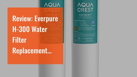 Review: Everpure H-300 Water Filter Replacement Cartridge (EV9270-72 or EV9270-71) & PBS-400 Wa...
