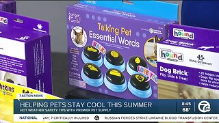 Hot Weather Safety Tips for Pets