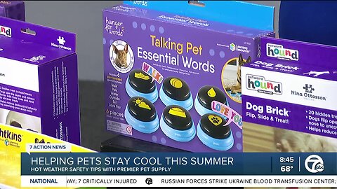 Hot Weather Safety Tips for Pets