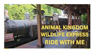 Animal Kingdom's Wildlife Express Ride with me!