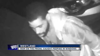 Police searching for Westland prowler caught on video looking through home windows