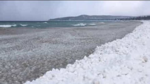 Migliaia di palle di ghiaccio invadono il lago Michigan