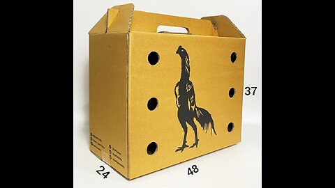 Premium Chicken Boxes for Adult and Young Chick Transportation
