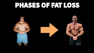 The Phases of Fat Loss - How to REALLY Lose Weight