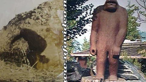 Sasquatch Statues: Made From "True Eyewitness Accounts"
