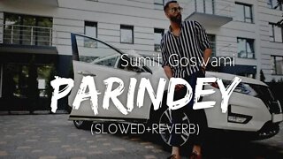 Parindey lofi ( slowed+ reverb) | Sumit Goswami | chill | relaxing | party song | Hits