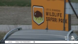 Wildlife Safari Park opens for the season