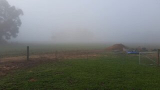 Fog over Alanvale