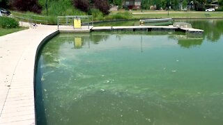 Sloan’s Lake closed until further notice due to potentially deadly blue-green algae