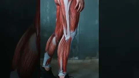 Human Muscle Yoga Pants