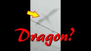 Dragon Caught On Camera! OR Something Else?