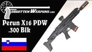 Slovenian Modularity: Perun X16 "PDW" in .300 Blackout