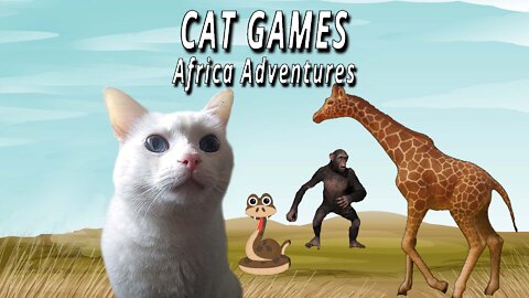 CAT GAMES: AFRICA ADVENTURES!