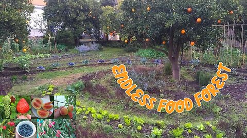 Endless Food Forests