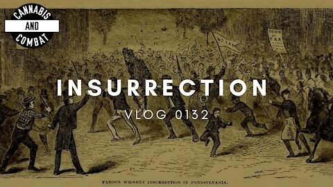 INSURRECTION | VLOG 0132