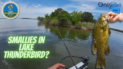 Lake Thunderbird Bass Fishing: Exclusive Fishing Spots Revealed
