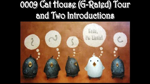 0009 Cat House (G-Rated) Tour and Introducing Twitter and Cookie