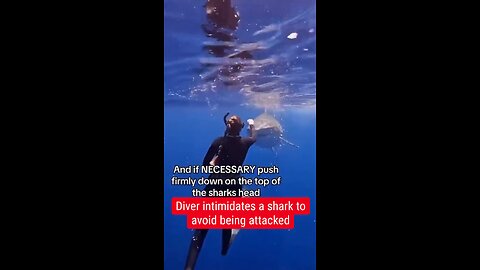 Diver intimidates a shark to avoid being attacked #shark