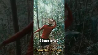 chicó disse que está precisando de um burrinho 🐴#comedia