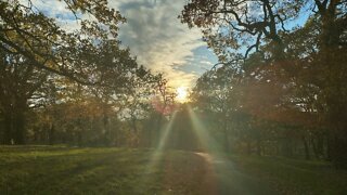 Grangewood Park, Croydon