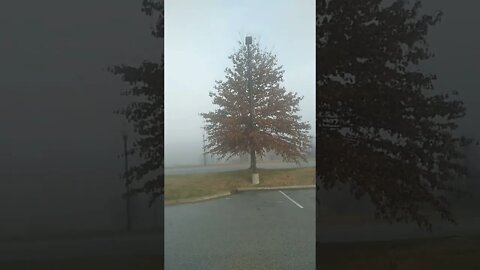 Scot Shorts #22 // Foggy Morning In Kentucky