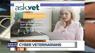 Growing trend of people using 'cyber vets' to help their pets