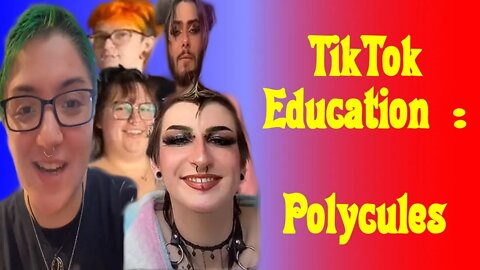 TikTok Education : Polycules